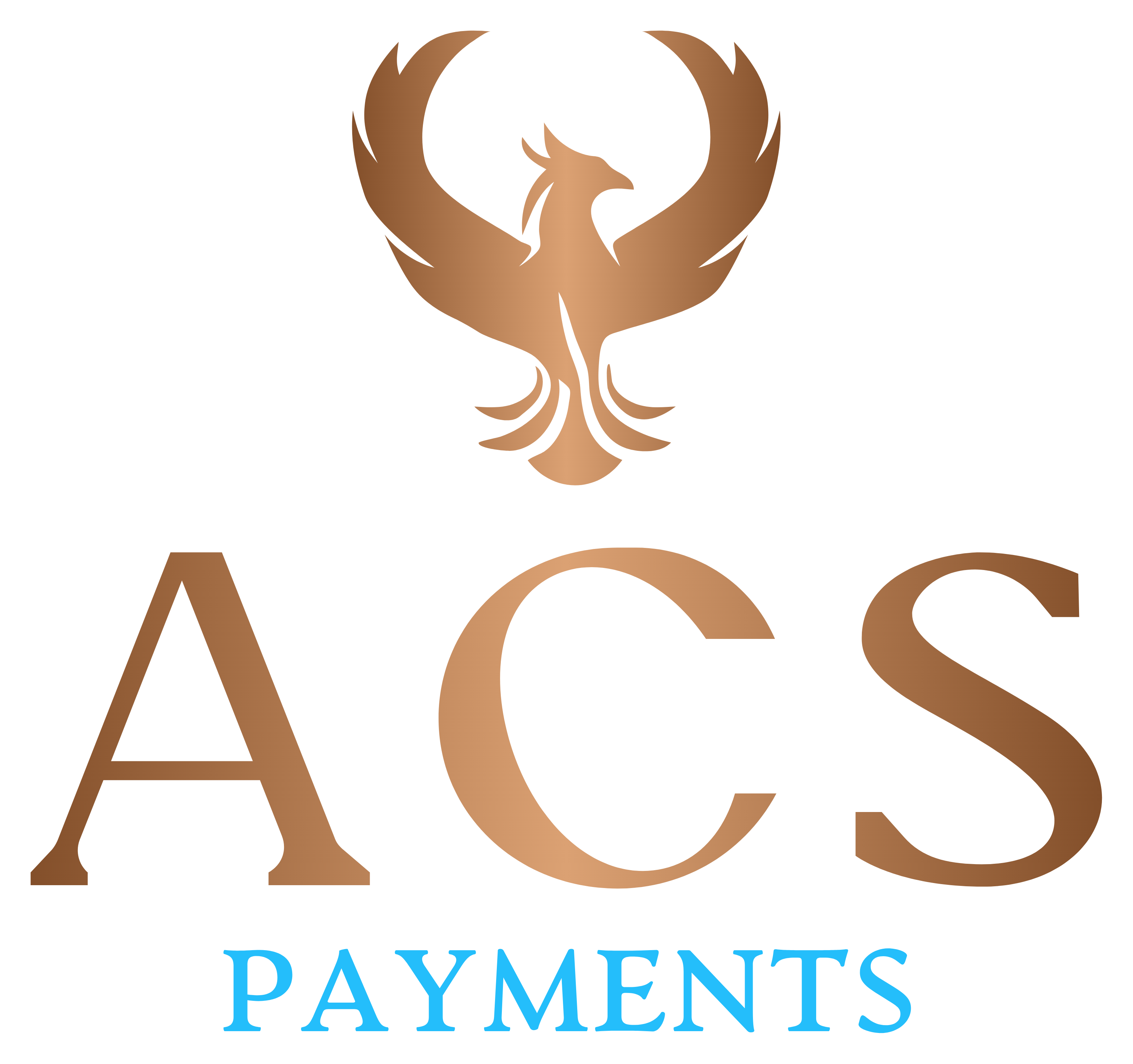 ACS Payments